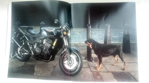 Triumph 1994